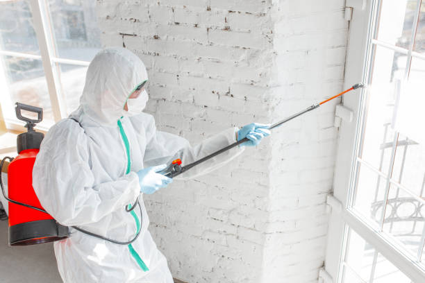 Forensic Mold Investigation in Avondale, LA